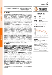 人工智能系列专题报告（二）：CoWoS技术引领先进封装，国内OSAT有望受益