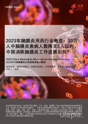 2023年脑膜炎用药行业概览：10万人中脑膜炎患病人数降至5人以内，中国消除脑膜炎工作进展如何？