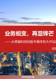 跨境电商:从傲基科技招股书看本轮大件品跨境红利-业务蜕变,再显锋芒
