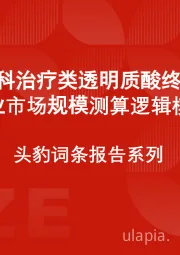 中国眼科治疗类透明质酸终端产品行业市场规模测算逻辑模型 头豹词条报告系列