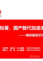 电机驱动芯片行业研究报告:见微知著,国产替代加速渗透