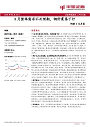 钢铁3月月报：3月整体需求不及预期，钢价震荡下行