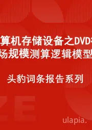 中国计算机存储设备之DVD行业市场规模测算逻辑模型 头豹词条报告系列