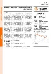 计算机行业点评报告:政策出台、发改委定调,低空经济板块或将受益