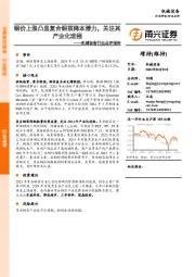 机械设备行业点评报告:铜价上涨凸显复合铜箔降本潜力,关注其产业化进程