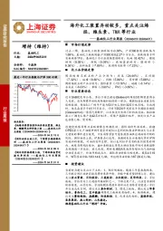 基础化工行业周报：海外化工装置异动较多，重点关注烯烃、维生素、TMA等行业