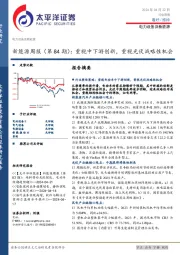 电力设备及新能源行业新能源周报(第84期):重视中下游创新,重视光伏战略性机会