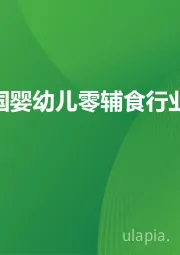 2024年中国婴幼儿零辅食行业洞察报告