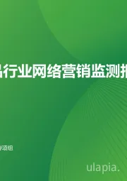 奢侈品行业网络营销监测报告