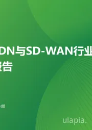 中国SDN与SD-WAN行业研究报告