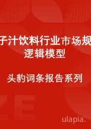 中国柚子汁饮料行业市场规模测算逻辑模型 头豹词条报告系列