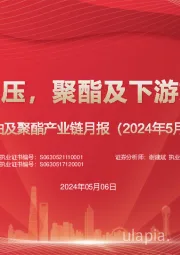 原油及聚酯产业链月报(2024年5月):原油需求承压,聚酯及下游或利润回升