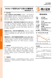电力设备行业储能观察系列（4）：2024Q1中国锂电池产业链出货量稳增