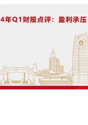 锂电材料行业2024年Q1财报点评：盈利承压，有望进入底部区间