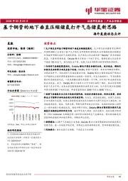 海外氢能动态点评:基于钢管的地下垂直压缩储氢打开气态储氢新思路