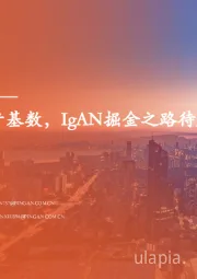 IgA肾病全景图:国内百万级患者基数,IgAN掘金之路待启航