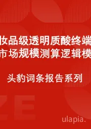 中国化妆品级透明质酸终端产品行业市场规模测算逻辑模型 头豹词条报告系列