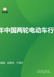 2024年中国两轮电动车行业研究