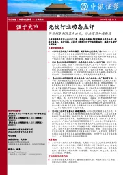 光伏行业动态点评：供给侧限制政策或出台，行业有望加速触底