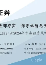 光储行业2024年中期投资策略：底部夯实，探寻优质龙头