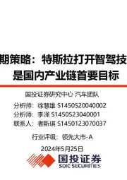 汽车：2024年智驾中期策略：特斯拉打开智驾技术新高度，降本是国内产业链首要目标