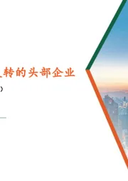 轻工纺服行业周报：关注季度业绩反转的头部企业