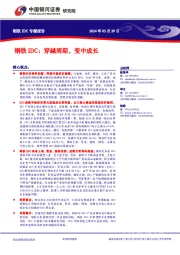 钢铁IDC：穿越周期，变中成长