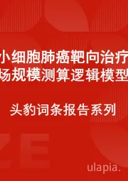 中国非小细胞肺癌靶向治疗行业市场规模测算逻辑模型 头豹词条报告系列