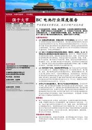 BC电池行业深度报告:平台型技术优势突显,龙头引领产业化加速