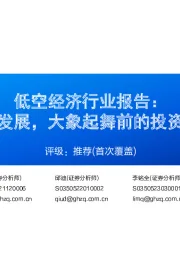 低空经济行业报告:向天际要发展,大象起舞前的投资机遇探析