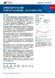 非常规天然气行业专题：非常规天然气成为重要增量，龙头企业有望充分受益