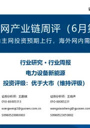 风电/电网产业链周评(6月第1周):招标/政策推动国内主网投资预期上行,海外网内需求仍处于放量前夕