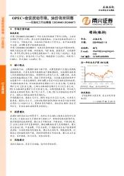 石油化工行业周报：OPEC+会议扰动市场，油价有所回落