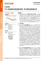 电力设备及新能源行业周报：SNEC展会新技术新品集中亮相，荷兰海风拍卖结果公布