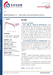 基础化工行业周报：磷铵价格持续上行，猪肉价格上涨有望带动维生素需求