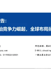 轮胎行业深度报告：国内轮胎竞争力崛起，全球布局扬帆远航