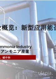 2024年中国绿氨行业概览:新型应用能否带动绿氨替代?