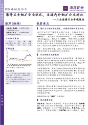 工业金属行业专题报告:海外五大铜矿企业巡礼,及海内外铜矿企业对比