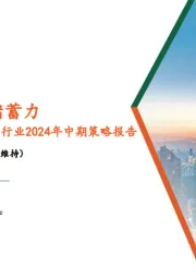 电力设备及新能源行业2024年中期策略报告：海风起势，光储蓄力
