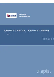 支持性的货币政策立场，发展中的货币政策框架银行