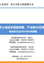 电动车行业2024年6月策略：国内本土电动车销量亮眼，产业链Q3旺季可期