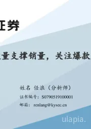 新能源/出口端放量支撑销量，关注爆款车/智能化产业链
