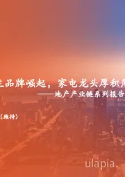 地产产业链系列报告之三：从出海代工到自主品牌崛起，家电龙头厚积薄发