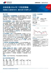 农林牧渔2024年7月投资策略：优质猪企Q2盈利预计扭亏，看好生猪下半年景气上行