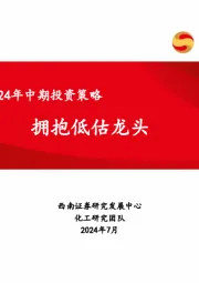 化工行业2024年中期投资策略：拥抱低估龙头