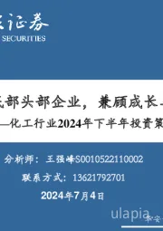 化工行业2024年下半年投资策略：重视周期底部头部企业，兼顾成长与红利资产