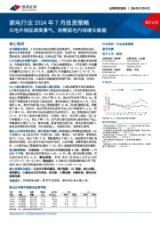 家电行业2024年7月投资策略：白电外销延续高景气，刚需家电内销增长稳健