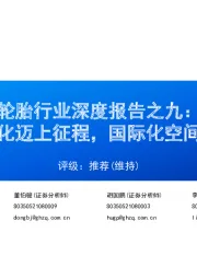 轮胎行业深度报告之九:高端化迈上征程,国际化空间广阔
