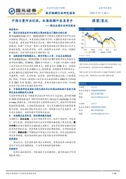 药品出海行业研究报告:中国力量河出伏流,出海浪潮中各显身手