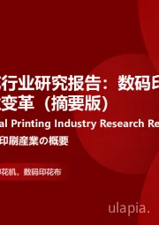2024年中国数码印花行业研究报告：数码印花携同纺织业，引领行业变革（摘要版）